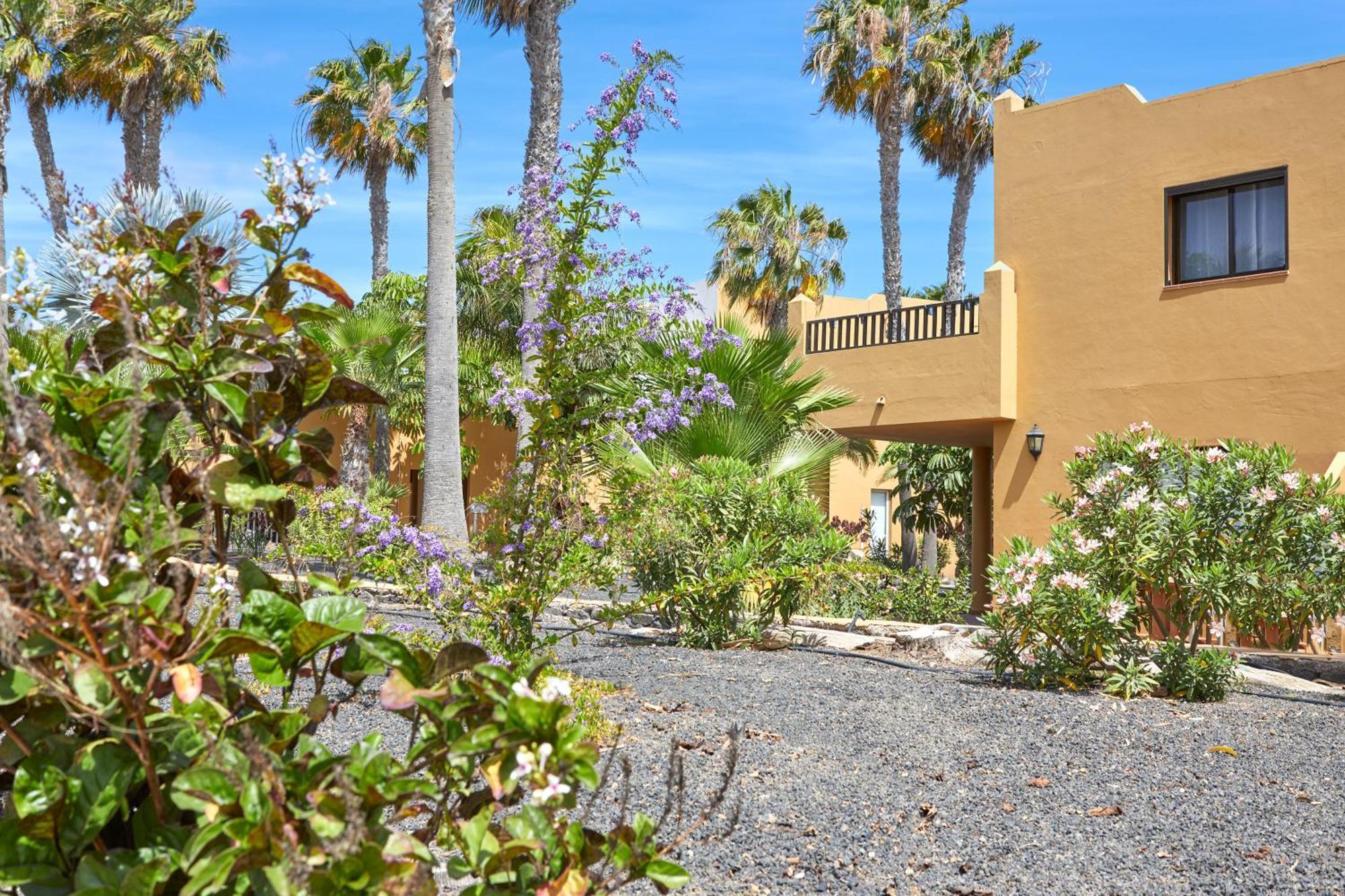 Apartamento Samira Fuerteventura コラレホ エクステリア 写真