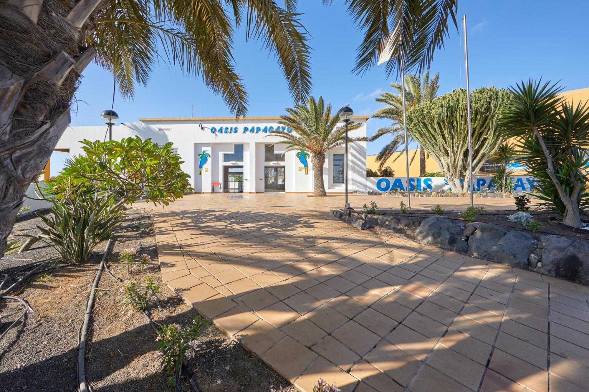 Apartamento Samira Fuerteventura コラレホ エクステリア 写真